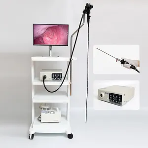 Medische Video Endoscoop Endoscopie Machine Gastroscoop Colonoscoop Veterinaire Endoscoop Camera Hond Endoscopie Systeem