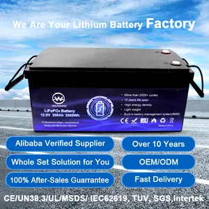 große kapazität lithium-eisen-phosphat-batterie mit großer marke hohe leistung und lebensdauer 24 v 48 v 60 v 70 v outdoor-lithiumbatterie für rv