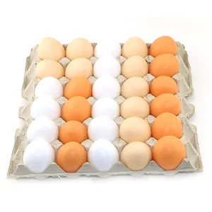 नई आगमन तरल अंडा Splat गेंद स्क्विशी खिलौने तनाव से राहत अंडे की जर्दी गेंदों गैजेट्स तनाव गेंद भरवां खिलौने
