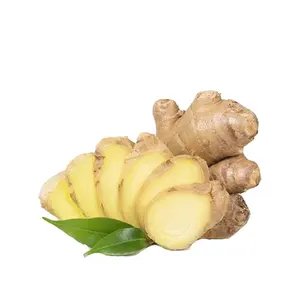 New Crop Chinese Fresh Fat Ginger / Spicy Mature Dried Ginger Market Prices For Yellow Ginger