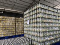 Boisson gazeuse légère aromatisée à la kiwi, à la cerise, à la pêche et à la pomme en bouteille de 350 ml, fabriquée par Elisha Manufacturer