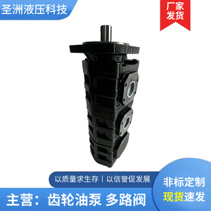 Pompe à huile hydraulique triple Shengzhou Hydraulics CBGJ505032 pour engins de forage et machines de construction en fonte - Product Image 4