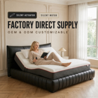 Matelas électrique intelligent avec massage et alarme de réveil douce, relaxation profonde et soulagement du stress pour les maisons de retraite et les soins à domicile