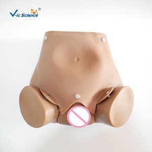 Manichino Avanzato per Addestramento alle Abilità di Parto, Modello per Simulazione di Parto Naturale di Donne in Gravidanza, in PVC, Marca VIC SCIENCE - Product Image 5