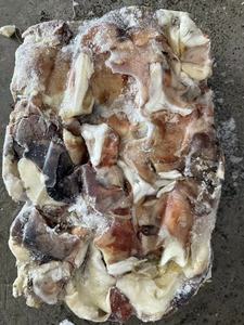 Chất Lượng Cao Đông Lạnh Khổng Lồ Mực Mực Tùy Chỉnh Sạch Và Cắt Sản Phẩm Bán Buôn - Product Image 2