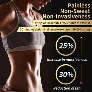 Güzellik ekipmanları için en iyi 5000W yüksek güç ems makinesi ems stimülatörü elektromanyetik kas - Product Image 4