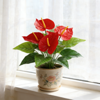 Plantes artificielles en tissu Anthurium, artisanat fait main pour hôtels, maisons, Thanksgiving, Noël, Nouvel An, accessoires de photographie, verdure à tige