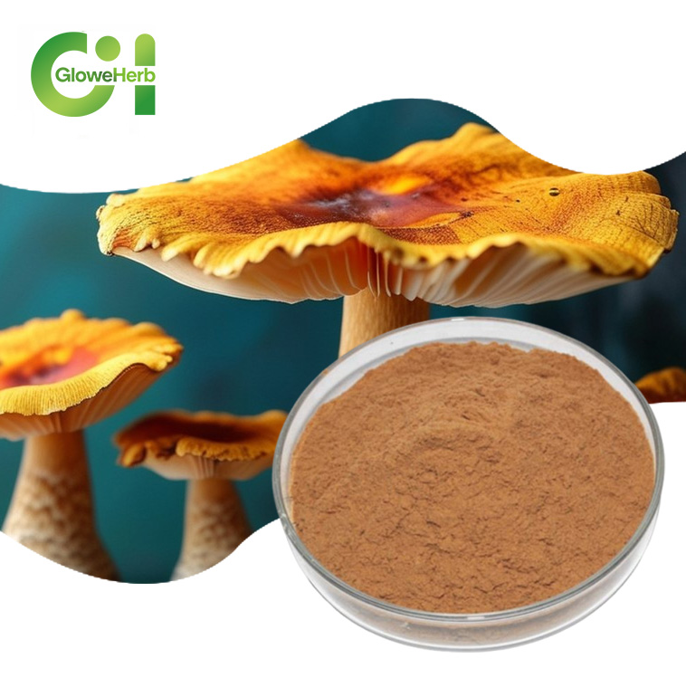 Лидер продаж, чистый натуральный 20% 30%, экстракт 50%, порошок грибов Phellinus Linteus