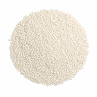 Sorbate de potassium blanc granulaire haute pureté 99% Conservateur alimentaire Prolongateur de durée de conservation 24 mois Certifié Casher Halal Marque WMK