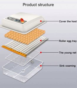 Incubadora de huevos de gallina de <span class=keywords><strong>segunda</strong></span> <span class=keywords><strong>mano</strong></span>, máquina 50 huevos para incubar, precio bajo - Product Image 4