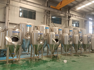 Système <span class=keywords><strong>de</strong></span> brasserie artisanale 5HL à trois cuves, capacité <span class=keywords><strong>de</strong></span> production mensuelle <span class=keywords><strong>de</strong></span> 5000 litres, unité <span class=keywords><strong>de</strong></span> brassage <span class=keywords><strong>de</strong></span> 500L - Product Image 6