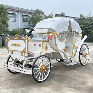 Calèche royale de luxe avec capot pour visites panoramiques en extérieur, véhicule électrique pour mariages et tourisme - Product Image 3