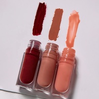 Maquillage brillant à lèvres liquide rouge à lèvres SPF 30 longue durée imperméable hydratant repulpant brillant à lèvres maquillage mat brillant à lèvres ensemble