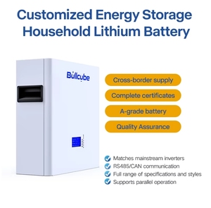 Bullcube 2.56kWh High Charging Efficiency 24v 100ah Lithium Solar <b>Battery</b> Wall <b>Mount</b> GX-24100-PW 24v <b>Battery</b> <b>Batteries</b> for Solar - Product Image 6