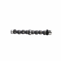 Arbre à cames de haute qualité 4362489 pour moteur FIAT 100-127 pour 127 pour FIAT