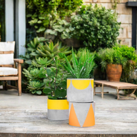 Pot à plantes succulentes rond en ciment, directement de l'usine, avec trou de drainage, pots en béton pour l'intérieur/l'extérieur, décoration de jardin à domicile, vente en gros