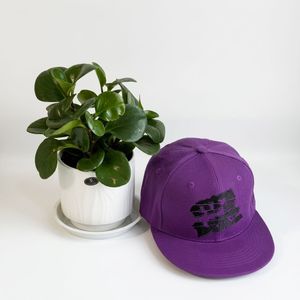 Casquette Snapback Structurée 6 Panneaux 100% Coton Personnalisée OEM de Haute Qualité avec Logo Brodé Unisexe Adulte Quatre Saisons Style Européen - Product Image 1