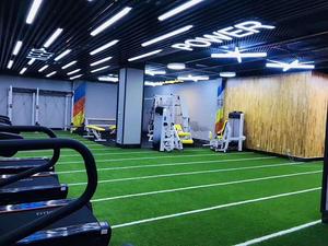 Thảm Cỏ Nhân Tạo Thân Thiện Với Môi Trường Cho Phòng Tập Thể Dục Phòng Tập Thể Dục Thảm Cỏ Nhân Tạo Trong Nhà Cho Phòng Tập Thể Dục - Product Image 6