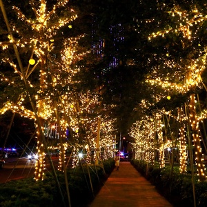 הוביל שרוך פיות אור מקורה/חיצוני pvc חיצונית מפעל pvc 100 מטר חג המולד עיצוב תקע חוט לבן חם אדום ורוד ירוק - Product Image 6