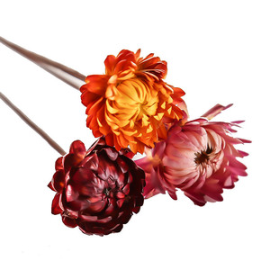 인스 스타일 DIY 북유럽 스타일 소형 드라이 플라워 부케 면화 아기 숨꽃 별꽃 홈 거실 장식용 - Product Image 4