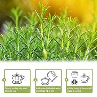 Feuilles de romarin naturelles fraîches de qualité supérieure, herbes aromatiques, thé chinois biologique minceur et bien-être, en vrac, emballage personnalisé en sachet
