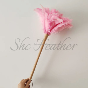 <span class=keywords><strong>Plumeau</strong></span> d'autruche <span class=keywords><strong>rose</strong></span> de style boutique avec motif teint à effet antistatique et manche en bois massif - Product Image 2