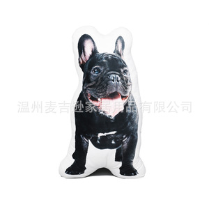 Coussin en peluche personnalisé avec photo d'animal de compagnie et logo, rembourrage en coton PP, pour la décoration de la maison - Product Image 4