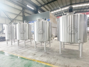 Serbatoio di Fermentazione con Agitazione Magnetica in Acciaio Inox da 1000 L per Colture di Avvio, Batteri <span class=keywords><strong>Lattici</strong></span>, Bioreattore SS304/316L - Product Image 6