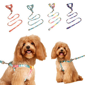 Conjunto de Arnés para Perro Acolchado de Neopreno Cómodo - Correa Ajustable Ecológica con Estampado de Sublimación en Bloques de Color - Product Image 2