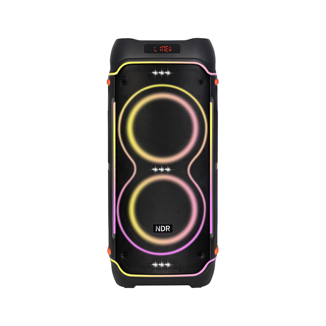 NDR-1808Dual 8inch*2 Speaker Stereo Sound Speaker Professional Audio Speaker With Double Wireless Microphone