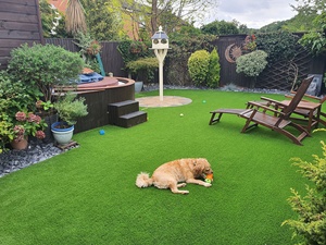 Pelouse artificielle Pelouse synthétique Gazon artificiel 30mm Jardin Gazon naturel réaliste - Product Image 5