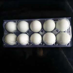 Parfait pour les marchés <span class=keywords><strong>de</strong></span> pâturages familiaux Présentoir à 15 œufs Plateau à œufs <span class=keywords><strong>de</strong></span> ferme écologique en toute sécurité - Product Image 6