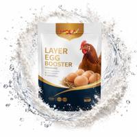 Prémélange OEM pour poulets : Additifs alimentaires pour augmenter la quantité et la fertilité des œufs – Stimulateur de ponte pour volailles – Vente en gros