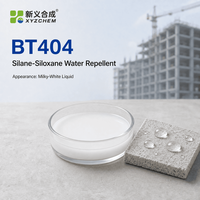 Xystone BT404 Émulsion hydrofuge silane-siloxane pour béton, maçonnerie et substrats minéraux
