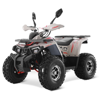 Quad ATV Tao Motor 2026, nouveau modèle, jantes en alliage, transmission par chaîne, automatique, 125cc, pour adolescents, quad chinois pas cher, ATV de ferme 125 avec CE EPA