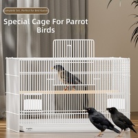 Cage à oiseaux d'extérieur de luxe en métal pour l'élevage domestique, avec grand ensemble d'accessoires et taille extra-large