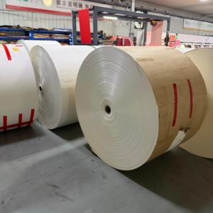 Rouleau de papier couché PE de qualité alimentaire, haute rigidité, imperméable, poids personnalisé, pour l'emballage alimentaire en usine - Product Image 4