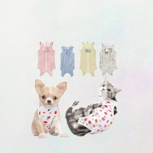Combinaison de récupération post-chirurgicale pour <span class=keywords><strong>chat</strong></span> en coton respirant, protection abdominale, élastique, anti-anxiété, anti-léchage, adorable - Product Image 3