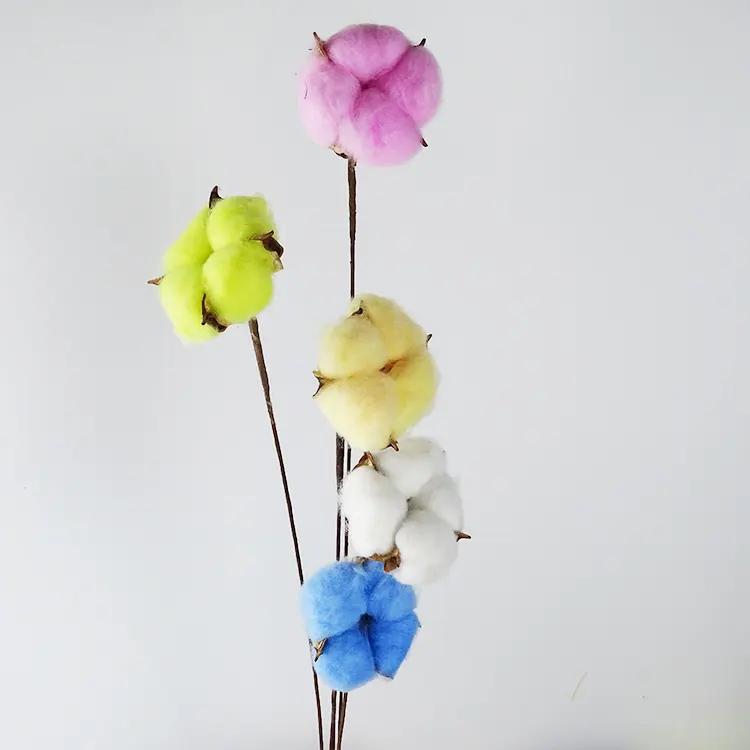 Yeni tasarım kapalı dekorasyon DIY el yapımı korunmuş beyaz renk kurutulmuş çiçekler doğal pamuk tek şube pamuk topu çiçek