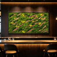 Décoration murale en mousse naturelle préservée personnalisée, panneau de mousse véritable encadré pour hall d'hôtel, bureau, commerce, décoration murale en mousse sur bois