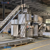 Industriële stoomschilmachine op maat gemaakt van 304 roestvrij staal voor het schillen van aardappelen, wortelen en tomaten