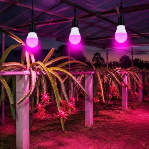 Bombillas LED <span class=keywords><strong>de</strong></span> Espectro Completo E27/E26 para Invernadero <span class=keywords><strong>de</strong></span> <span class=keywords><strong>Pitahaya</strong></span> y Cultivo <span class=keywords><strong>de</strong></span> Vegetales/Fruta del Dragón 9W/11W CRI 90 IP20 Garantía <span class=keywords><strong>de</strong></span> 2 Años - Product Image 1