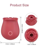10 Saugdildos Erotikspielzeug Klitoris-Saugmassage Nippel-Rosen-Sauger Vibrator für Frauen