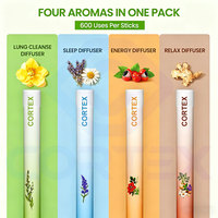 Stylo diffuseur d'herbes OEM avec Guarana, thé vert, menthol, vitamine B12, appareil d'aromathérapie portable