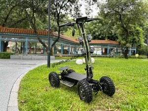 Scooter de 4 Ruedas 2026 + Alta Velocidad + Cuerpo Inclinable Digital + Plegable Todoterreno + OEM ODM + Pantalla Digital + Vehículo de Carreras para Adultos M13 de 4 Ruedas - Product Image 5