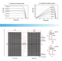 Panneau solaire double vitrage Trina TSM-NEG21C.20Q 735-760W, module solaire monocristallin double vitrage, modules photovoltaïques bifaciaux demi-coupés