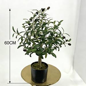 olivier - Product Image 2