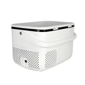 Wholesale 15l Compressor Mini Car Fridges Camping Portable Freezer With Control Panel For Outdoors Refrigerator