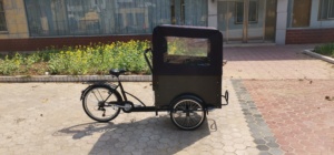 Camión de comida eléctrica, remolque de barbacoa, carrito de bicicleta de comida eléctrica, carrito de venta de crepes de comida e bicicleta - Product Image 5