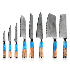Kitchen Knife Set Japanese Damascus Steel with Round Resin Handle Low MOQ Exclusive Supply 8 Pcs 67 Layers Metal Durable 2 Pcs